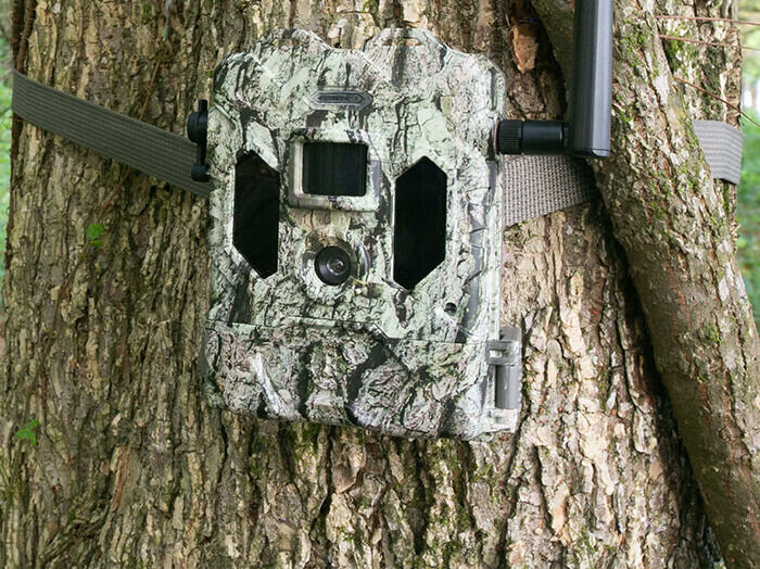 Deer camera outlet