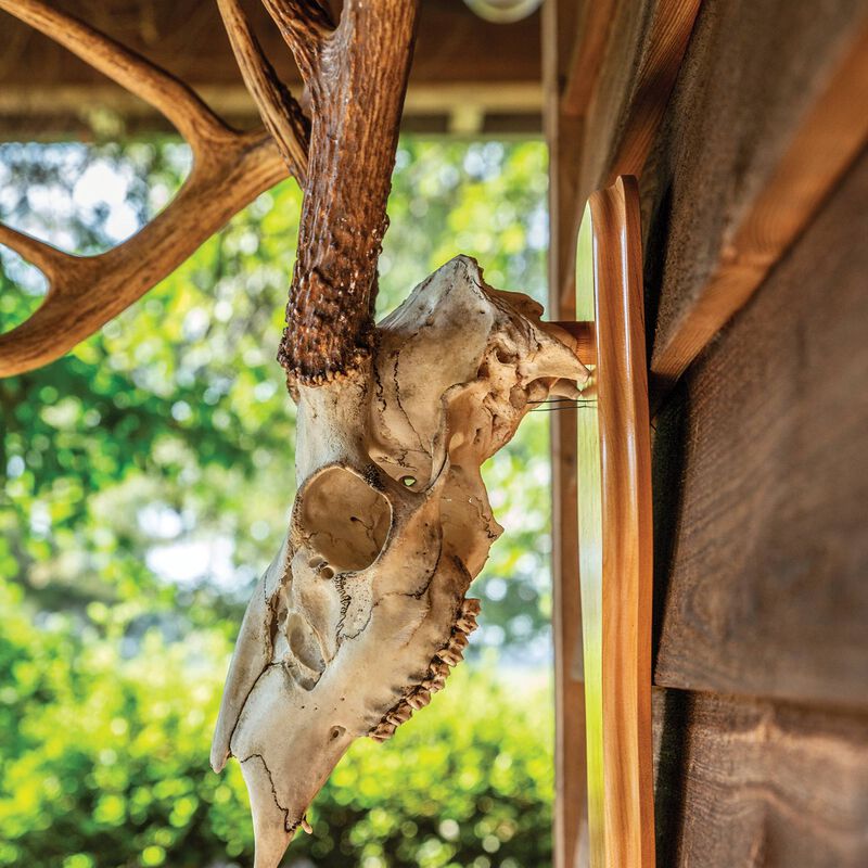 Custom Euro Deer Plaque